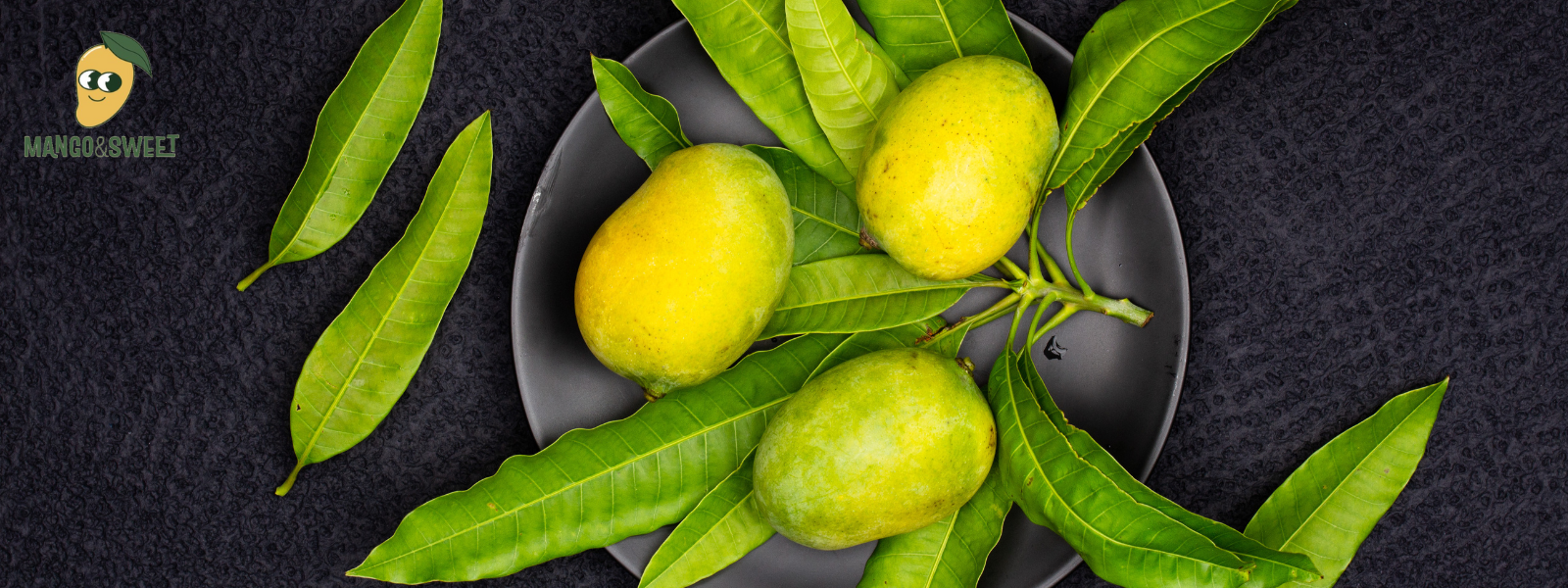 mango biche